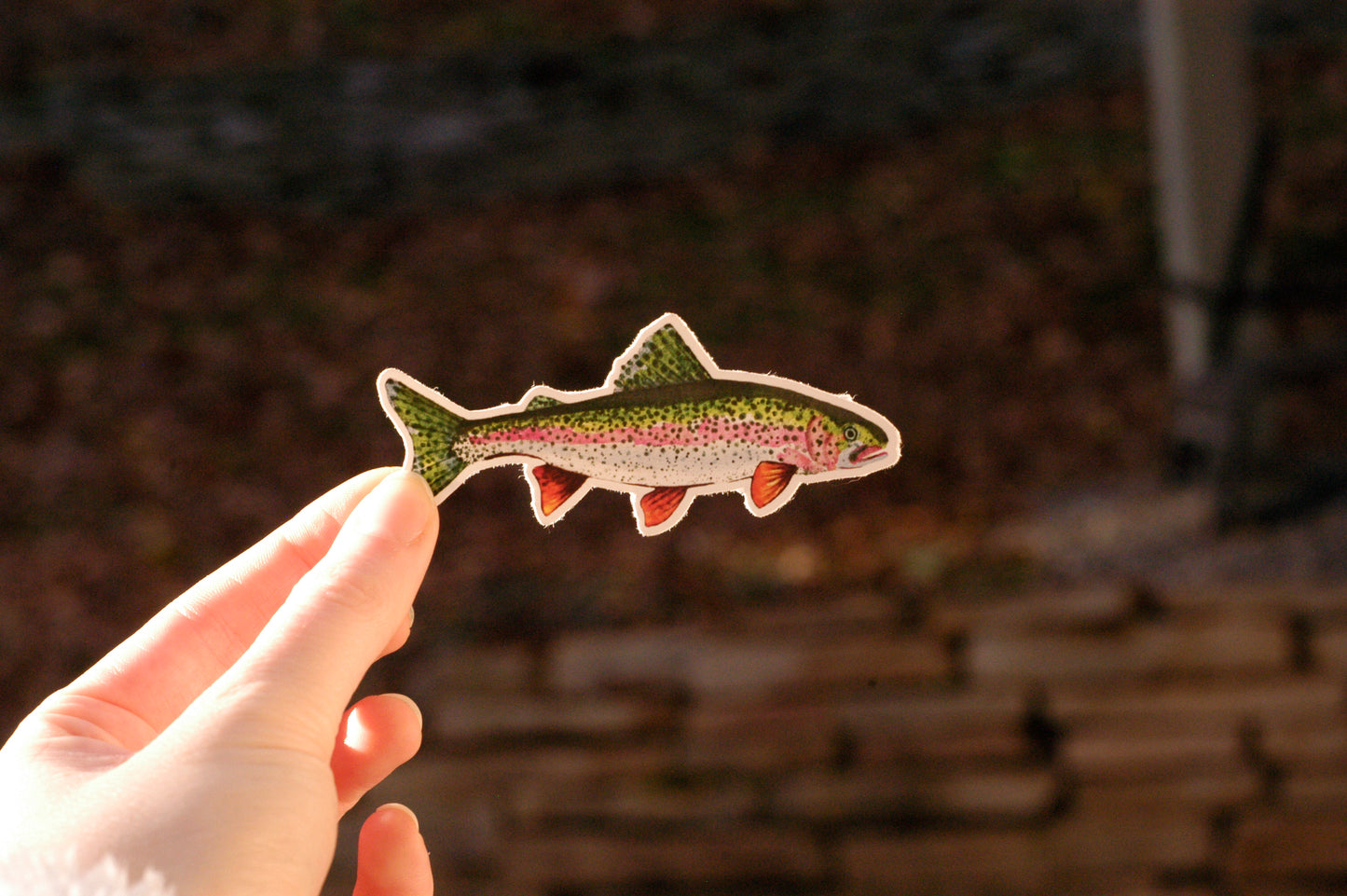 Rainbow Trout Sticker