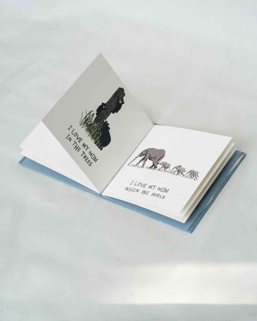 Love Your Mother Children's Book