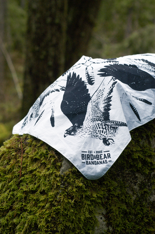 Gyrfalcon of the Northwest | Fly Bandana Collection