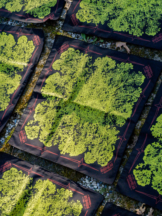 Deeply Rooted Bandana