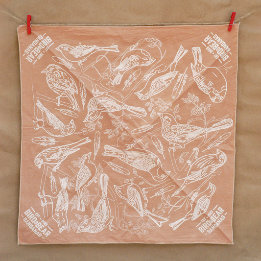 Finches and Sparrows of the Northeast | Fly Bandana Collection
